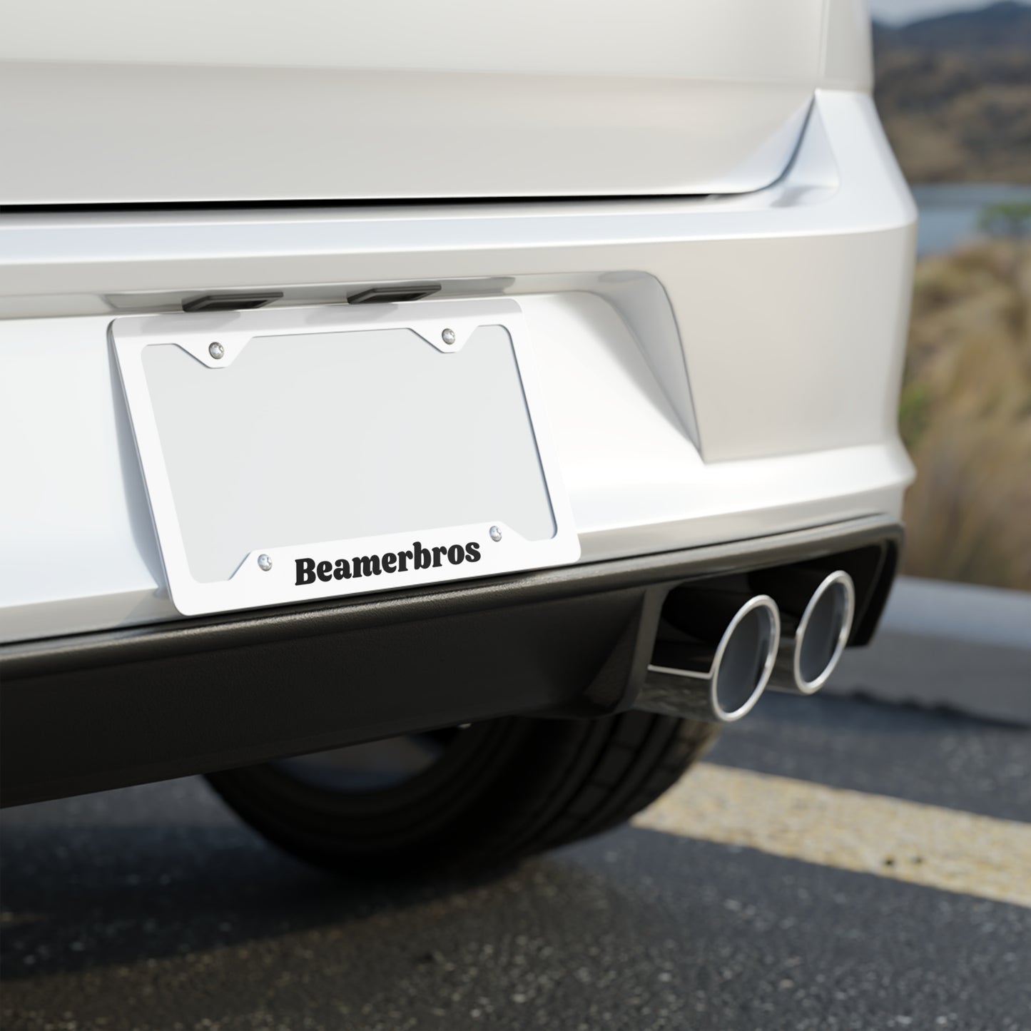 Stylish Metal License Plate Frame